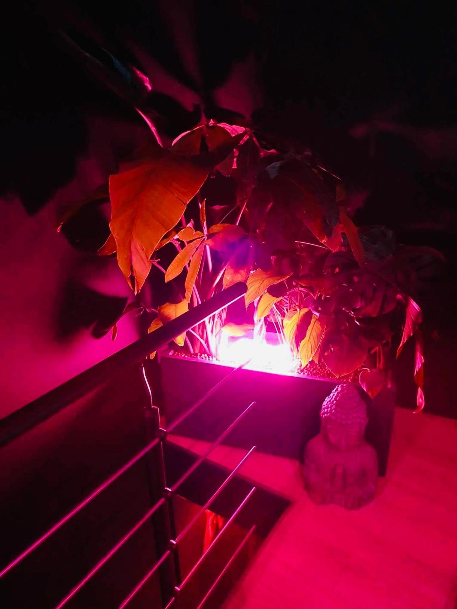 Chambre Noire 索勒尔堡 外观 照片